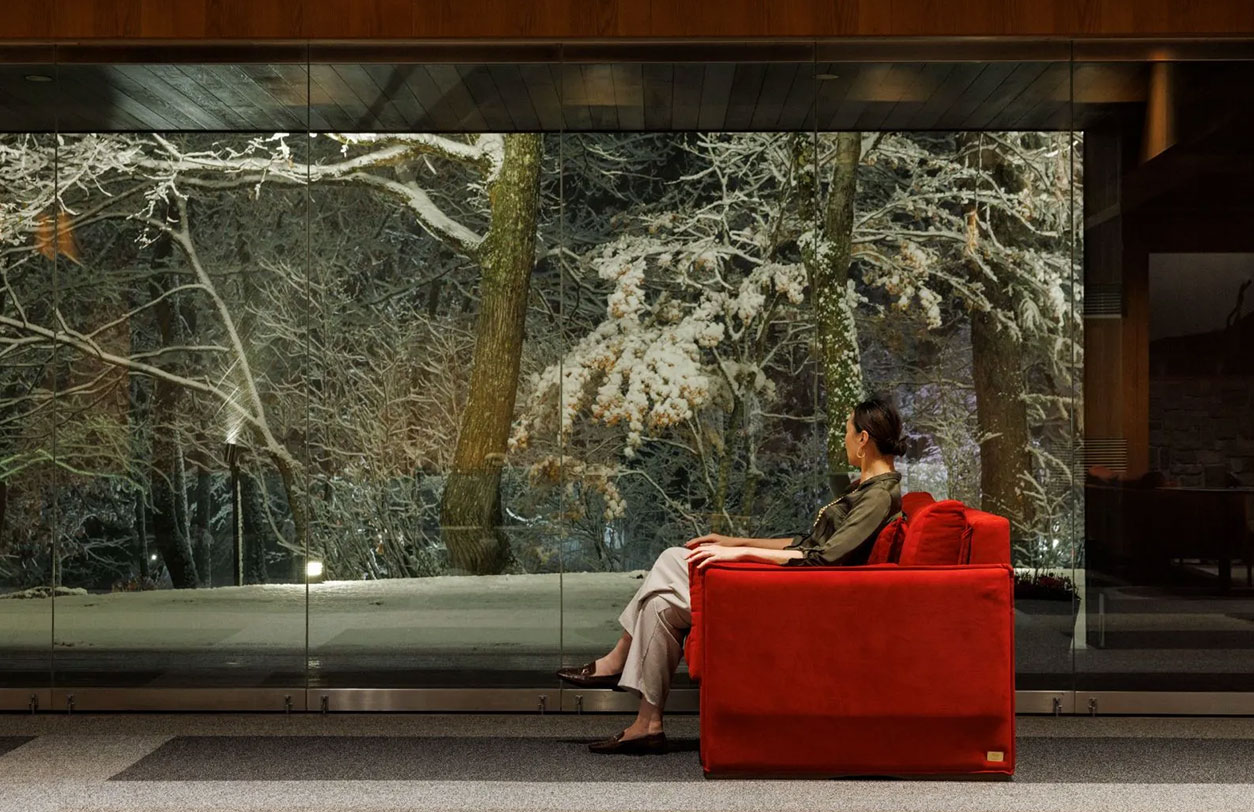 ソファベッドとは思えない佇まい。